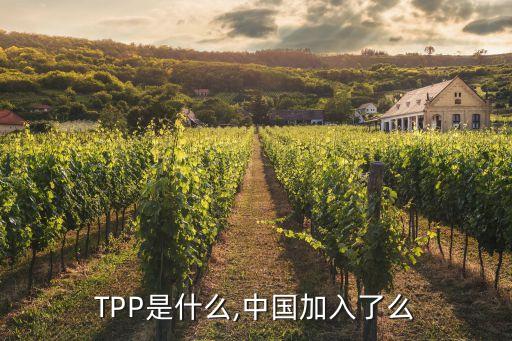 TPP是什么,中國加入了么