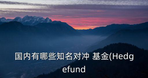 國(guó)內(nèi)有哪些知名對(duì)沖 基金(Hedgefund