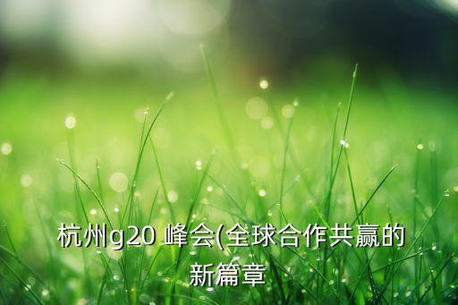  杭州g20 峰會(全球合作共贏的新篇章