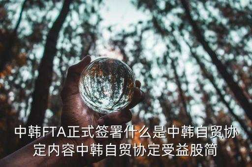 貨物貿易股票,中國是第一大貨物貿易國