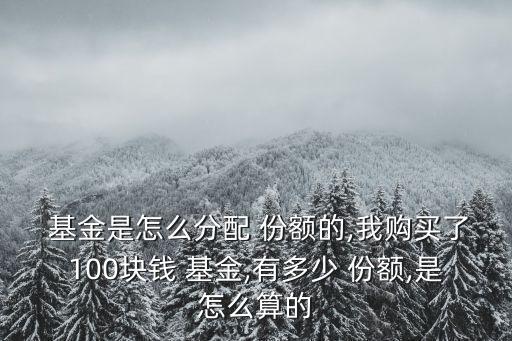  基金是怎么分配 份額的,我購買了100塊錢 基金,有多少 份額,是怎么算的