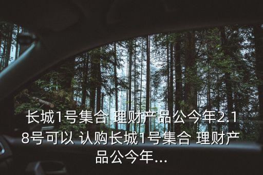 長城1號集合 理財(cái)產(chǎn)品公今年2.18號可以 認(rèn)購長城1號集合 理財(cái)產(chǎn)品公今年...