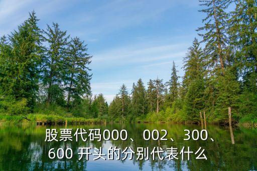  股票代碼000、002、300、600 開(kāi)頭的分別代表什么