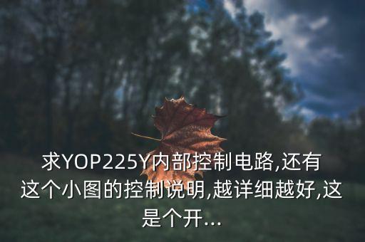 求YOP225Y內(nèi)部控制電路,還有這個(gè)小圖的控制說明,越詳細(xì)越好,這是個(gè)開...