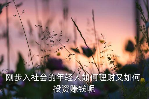 剛步入社會(huì)的年輕人如何理財(cái)又如何 投資賺錢(qián)呢