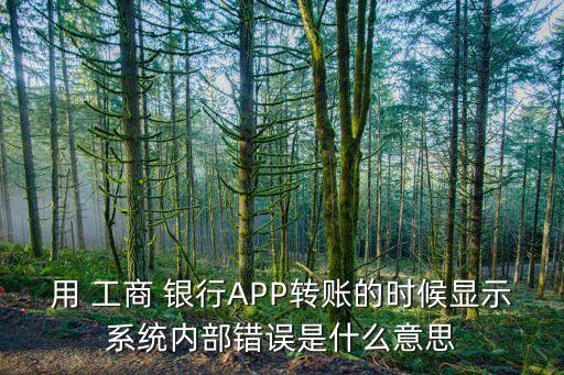 用 工商 銀行APP轉(zhuǎn)賬的時(shí)候顯示系統(tǒng)內(nèi)部錯(cuò)誤是什么意思