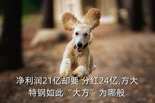 凈利潤21億卻要 分紅24億,方大特鋼如此“大方”為哪般