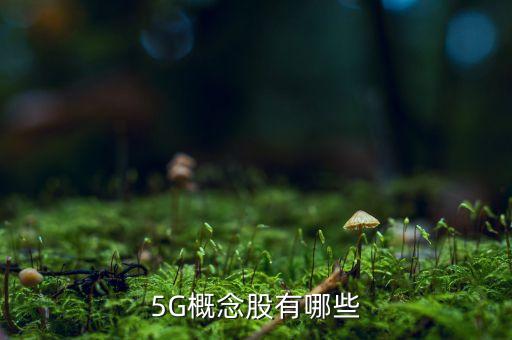 5G概念股有哪些