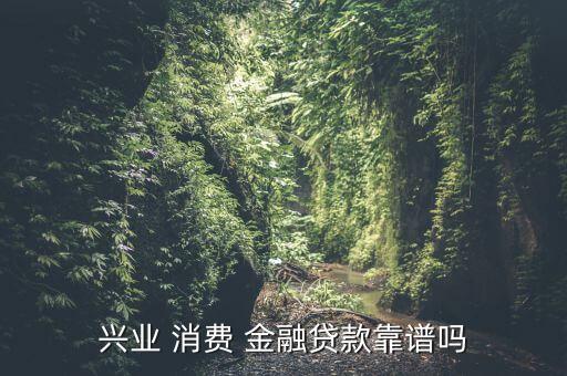 興業(yè) 消費(fèi) 金融貸款靠譜嗎