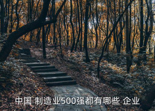 中國 制造業(yè)500強都有哪些 企業(yè)