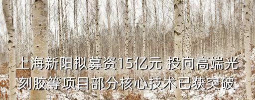 上海新陽擬募資15億元 投向高端光刻膠等項(xiàng)目部分核心技術(shù)已獲突破