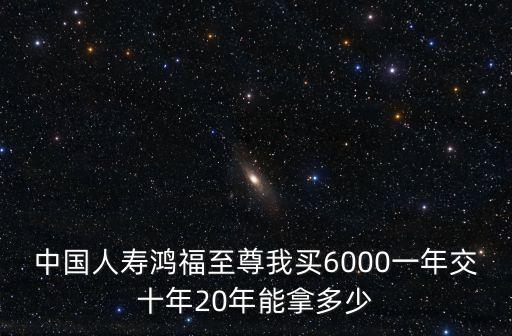 中國(guó)人壽鴻福至尊我買6000一年交十年20年能拿多少