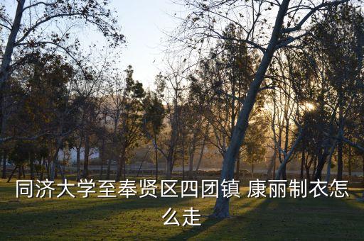 同濟(jì)大學(xué)至奉賢區(qū)四團(tuán)鎮(zhèn) 康麗制衣怎么走