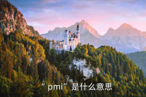 “ pmi”是什么意思