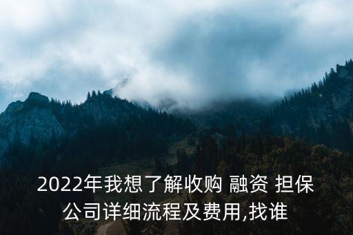 2022年我想了解收購(gòu) 融資 擔(dān)保公司詳細(xì)流程及費(fèi)用,找誰(shuí)