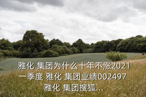  雅化 集團為什么十年不漲2021一季度 雅化 集團業(yè)績002497 雅化 集團搜狐...