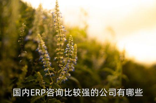 國(guó)內(nèi)ERP咨詢比較強(qiáng)的公司有哪些