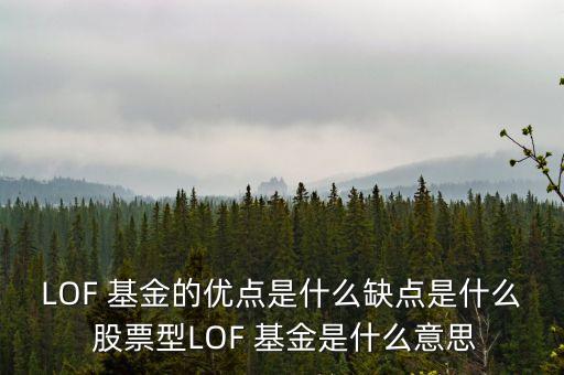 LOF 基金的優(yōu)點(diǎn)是什么缺點(diǎn)是什么 股票型LOF 基金是什么意思