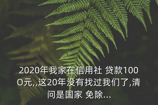 2020年我家在信用社 貸款100O元,,這20年沒有找過我們了,清問是國家 免除...