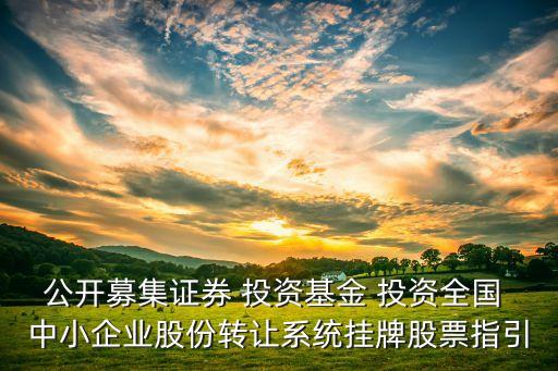 公開募集證券 投資基金 投資全國 中小企業(yè)股份轉(zhuǎn)讓系統(tǒng)掛牌股票指引