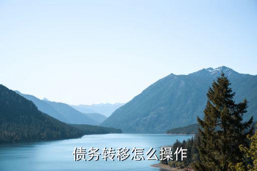  債務轉(zhuǎn)移怎么操作