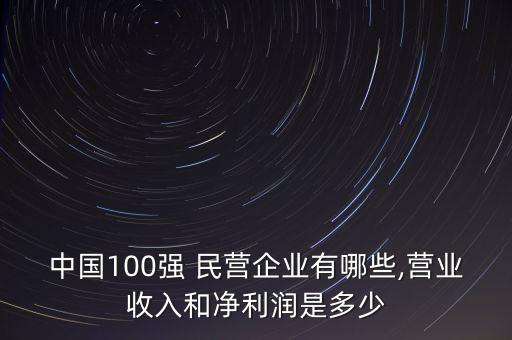 中國(guó)100強(qiáng) 民營(yíng)企業(yè)有哪些,營(yíng)業(yè)收入和凈利潤(rùn)是多少