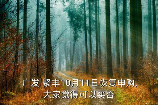  廣發(fā) 聚豐10月11日恢復(fù)申購,大家覺得可以買否