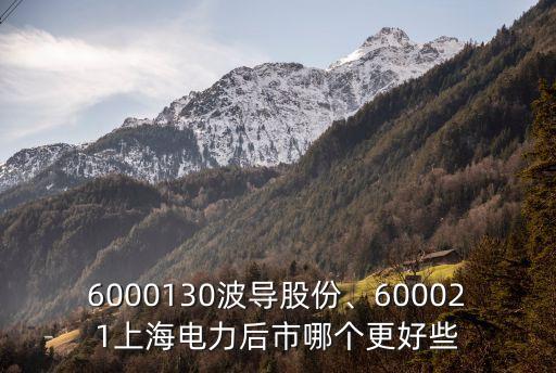 6000130波導(dǎo)股份、600021上海電力后市哪個更好些