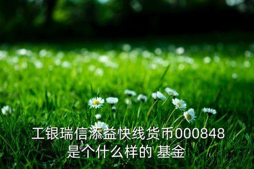 工銀瑞信高端制造股票基金