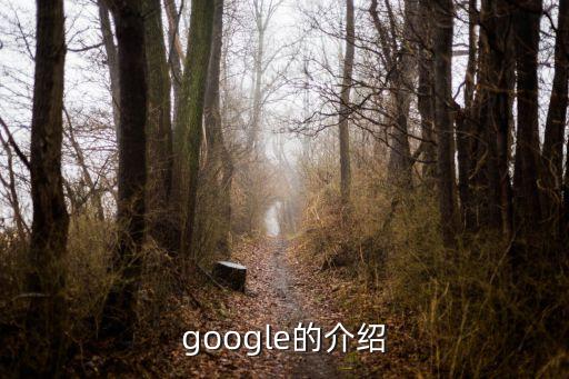 google的介紹