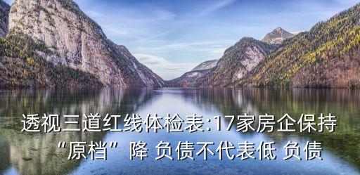 透視三道紅線體檢表:17家房企保持“原檔”降 負(fù)債不代表低 負(fù)債