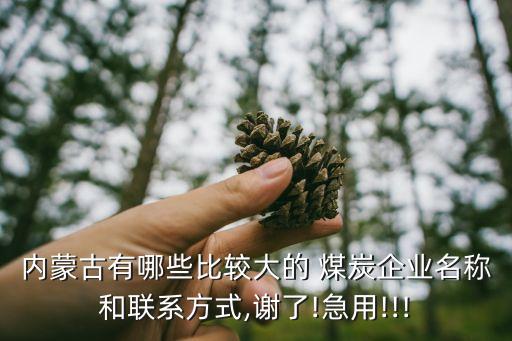 內(nèi)蒙古有哪些比較大的 煤炭企業(yè)名稱和聯(lián)系方式,謝了!急用!!!