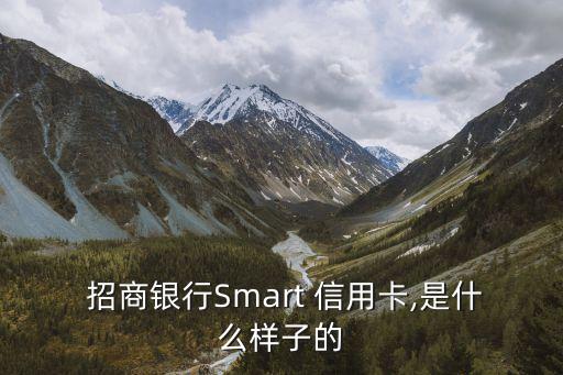  招商銀行Smart 信用卡,是什么樣子的