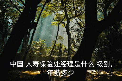 中國(guó)人壽什么級(jí)別