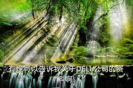 有誰可以告訴我關于DELL公司的資料啊!