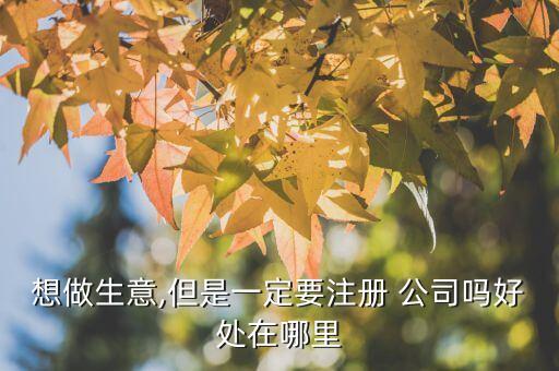 想做生意,但是一定要注冊(cè) 公司嗎好處在哪里