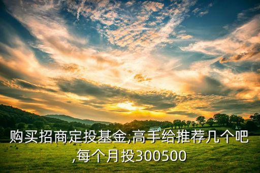 購買招商定投基金,高手給推薦幾個(gè)吧,每個(gè)月投300500