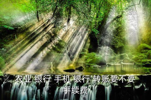 農(nóng)業(yè) 銀行 手機(jī) 銀行 轉(zhuǎn)賬要不要手續(xù)費(fèi)