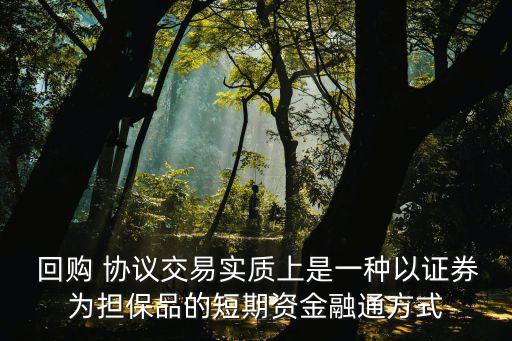 中國回購協(xié)議市場(chǎng),回購協(xié)議市場(chǎng)名詞解釋