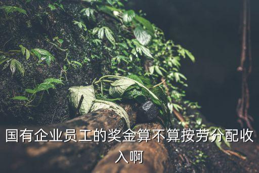 國有企業(yè)員工的獎(jiǎng)金算不算按勞分配收入啊