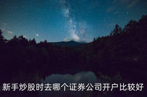 新手炒股時(shí)去哪個(gè)證券公司開(kāi)戶比較好