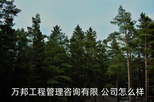  萬(wàn)邦工程管理咨詢(xún)有限 公司怎么樣