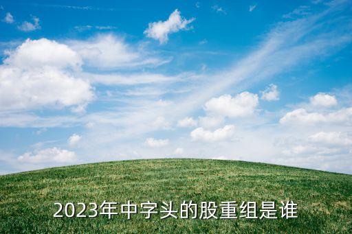 2023年中字頭的股重組是誰