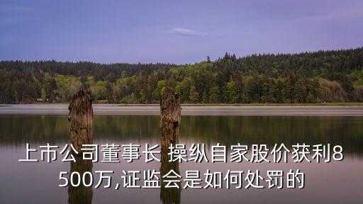 上市公司董事長 操縱自家股價獲利8500萬,證監(jiān)會是如何處罰的