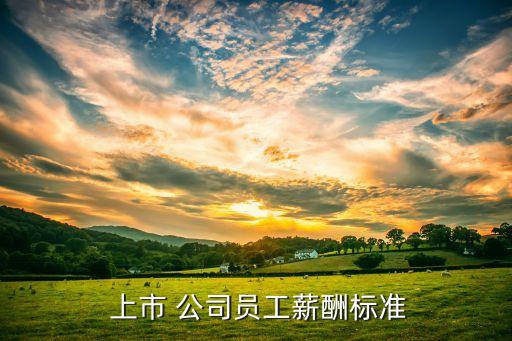  上市 公司員工薪酬標(biāo)準(zhǔn)