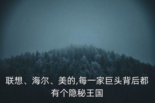 聯(lián)想、海爾、美的,每一家巨頭背后都有個(gè)隱秘王國