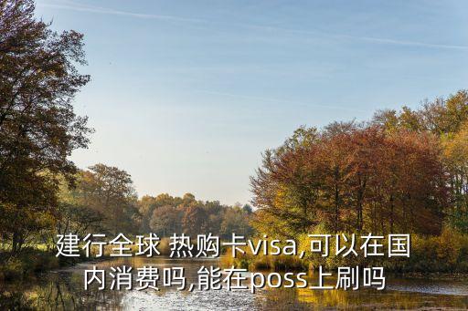 建行全球 熱購(gòu)卡visa,可以在國(guó)內(nèi)消費(fèi)嗎,能在poss上刷嗎