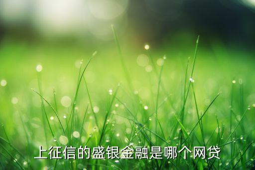 上征信的盛銀金融是哪個(gè)網(wǎng)貸