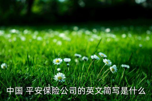 中國 平安保險公司的英文簡寫是什么