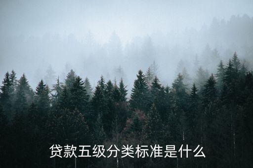  貸款五級分類標(biāo)準(zhǔn)是什么